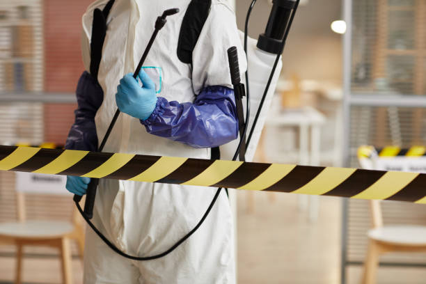 Professional Sewage Cleanup technician working in Sunnyvale, TX